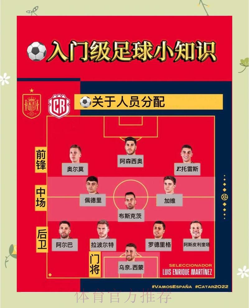 全面解读世界杯赛程：战术布局与核心看点深度剖析