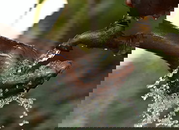 体育短视频内容运营